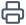 Print Icon